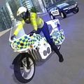 城市交警模拟游戏汉化版