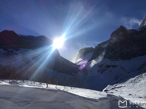 《〈脑洞非常大〉:冰天雪地关卡高效通关秘籍》 3