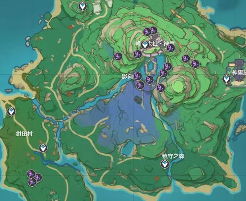 《原神》玩家必看:如何快速收集夏沃蕾突破所需材料? 2