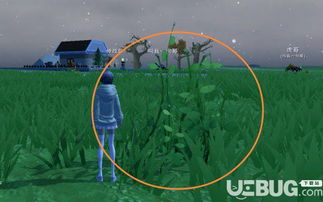 探寻创造与魔法中的黄豆产地 2