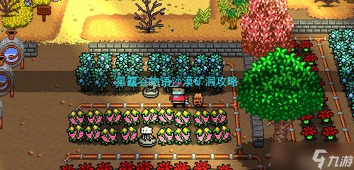 星露谷物语：征服沙漠矿洞的绝妙攻略 4