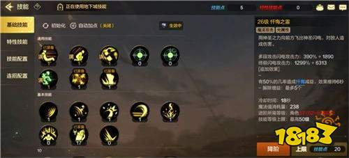 《DNF》神界版本:帕拉丁顶级装备精选指南 3