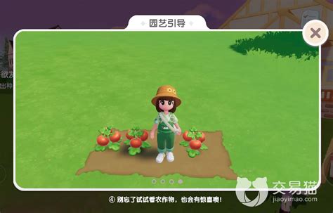 《心动小镇》:解锁高效买种子秘籍,打造梦幻田园! 1