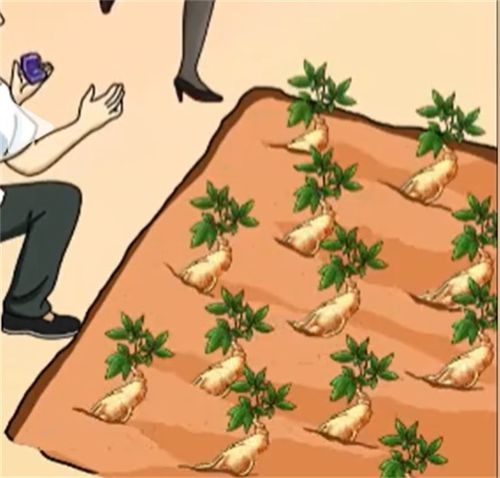 《沙雕出击》衣锦还乡怎么通关? 2