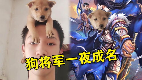 狗将军因疏忽误食禁粥的由来解析 2