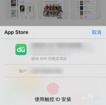 如何在苹果手机上下载应用程序 3