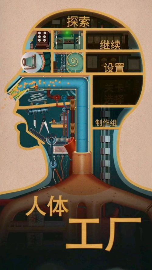 《人体工厂》游戏耳朵关卡怎么过？ 3