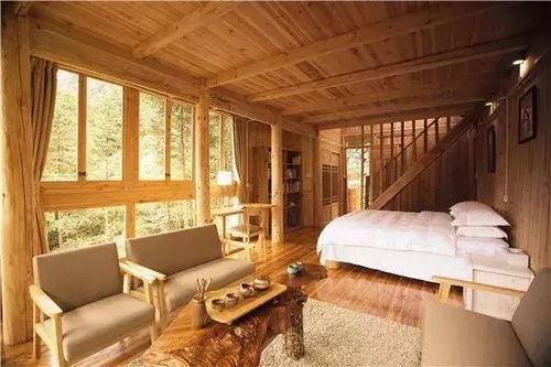 《小森灵》民宿房间布置:打造梦幻空间的必备攻略,你get了吗? 2