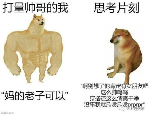 如何通过《玩梗老司机》中的训狗大师关卡？