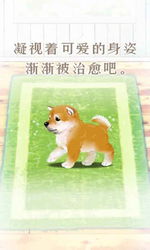 养育柴犬的治愈游戏 截图4