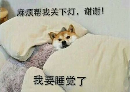 社會性睡眠是什么梗-社會性睡眠意思介紹 1