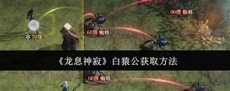 《龙息神寂》中白猿公如何获取？ 4