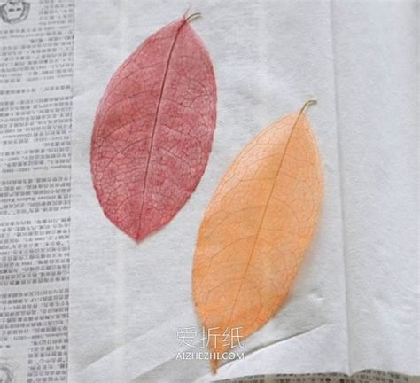 DIY创意树叶书签制作教程 4