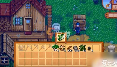 星露谷物语:高效赚钱秘籍大公开! 1