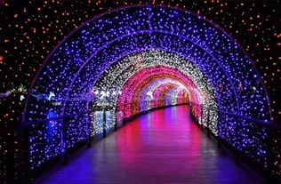 《《以闪亮之名》苏黎盈夜灯火特色概览》 1