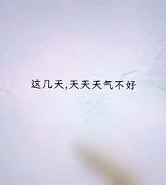 《文字找茬大师》断句当铺关卡怎么过? 2