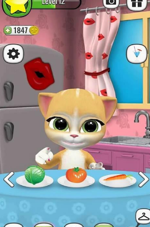 会说话的艾玛猫游戏 截图2