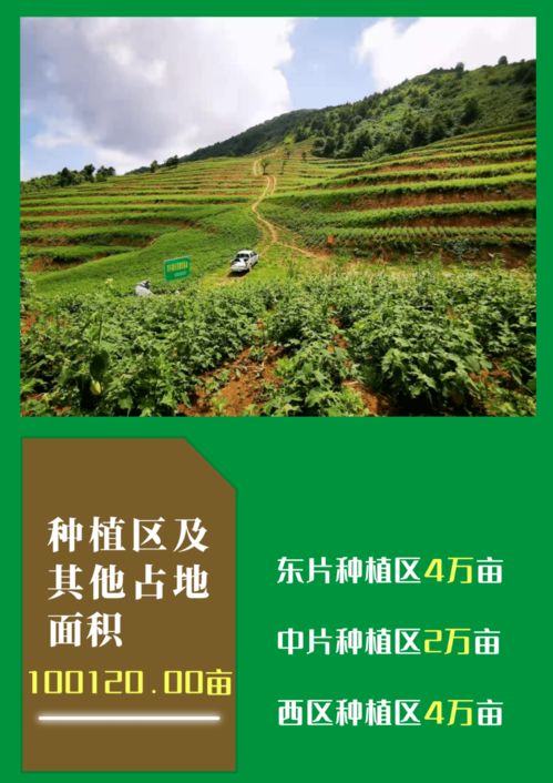 《沙石镇时光》中不可错过的补血草寻觅指南 4