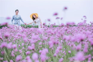 《无限暖暖》花海美照速成秘籍！ 3