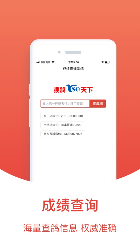 查鸽网 截图2