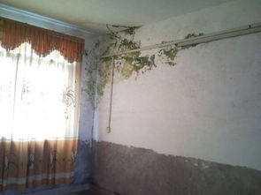 平房屋顶漏水？快速解决漏水问题的实用方法！ 1