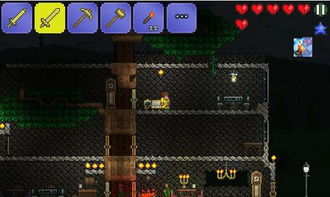 泰拉瑞亚：储物空间不足解决方案 3