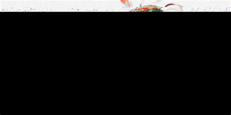 《新月同行》中白槿的人物介绍是怎样的? 3