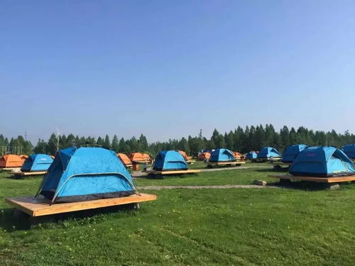 《晚安森林：轻松掌握简易帐篷搭建技巧》 2