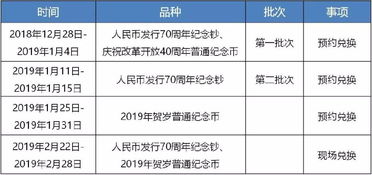 2025年《麦吉大改造》兑换码分享 3