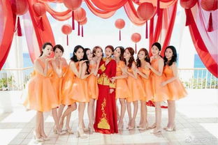 《脑洞茬里王》:解锁幸福婚礼的完美通关秘籍 1