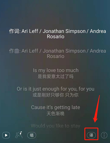 网易云音乐怎么关闭歌词翻译 关闭歌词中文翻译教程一览 4
