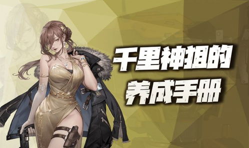 《钢岚》新手卡池：S级角色精选推荐指南 2