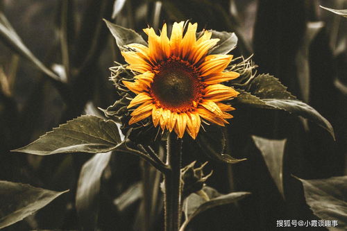 做出正确选择，努力效果倍增！ 1