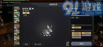 《想知道《荒原曙光》中有哪些可爱宠物?快来查收这份宠物图鉴大全!》 1