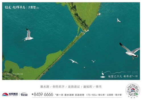 《鸣潮》槲生半岛:下棋必胜技巧大揭秘! 3