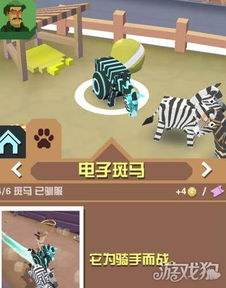 疯狂动物园里的斑马怎么样? 2