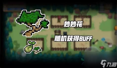 元气骑士：打造梦幻花圃，解锁最佳种植秘籍 2