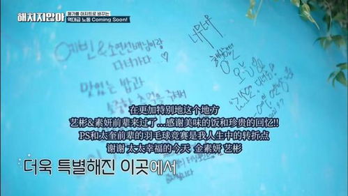 《文字玩出花》：破屋寒冬生存攻略 2