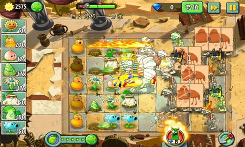 《植物大战僵尸3》中有哪些新植物介绍? 3