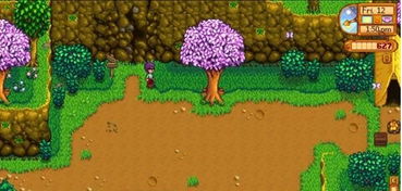 星露谷物语:短裤制作指南与织布机原材料详解 3