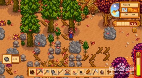 如何在《星露谷物语》中携妻子共赴温泉之旅 2