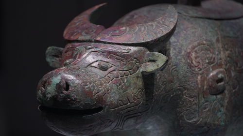 《如何为《物华弥新》中的亚长牛尊选择最佳深造装备搭配?攻略来袭!》 2