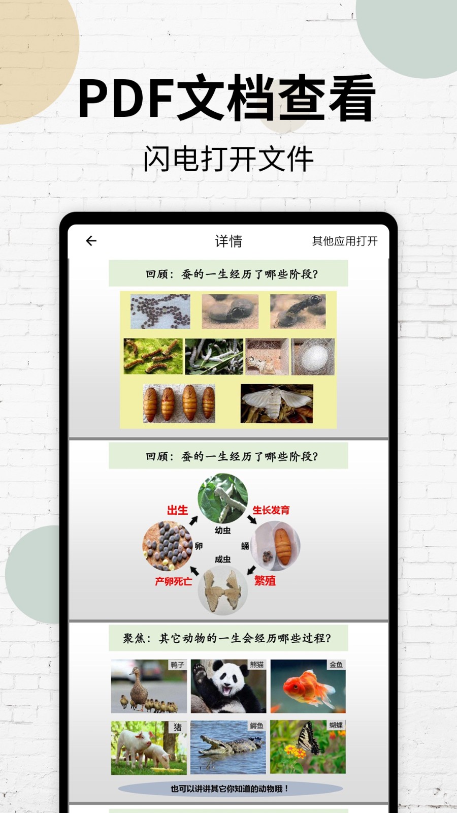 PDF阅读器2025 1