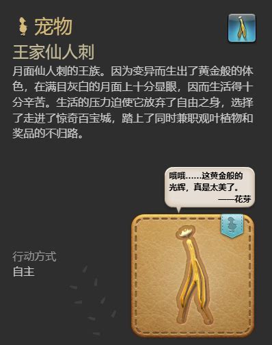 《揭秘!〈最终幻想14:水晶世界〉中如何捕获稀有月面仙人刺王子宠物》 1