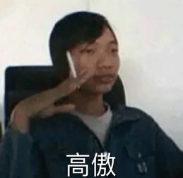 《沙雕出击》表情包模仿大挑战:超详细通关攻略来袭! 2