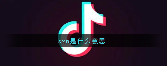 sxn????????-sxn?????? 1