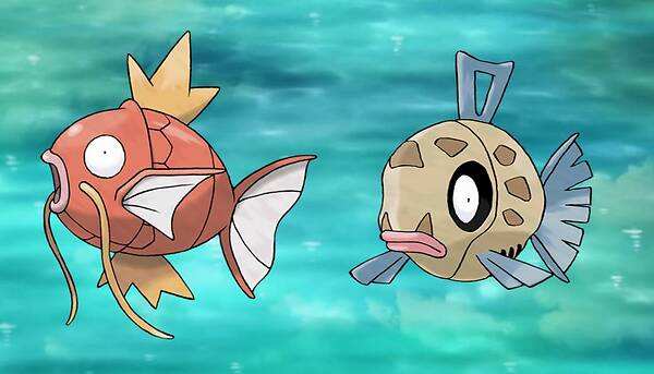 丑丑鱼的进化方法 2