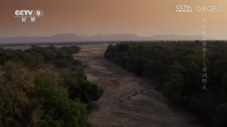 悠悠电视剧在线看 1