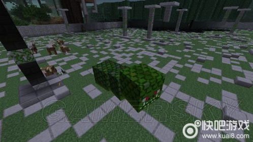 征服暮色森林：战胜娜迦的终极策略 4