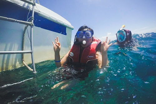 怎样才能学会在水中浮潜? 2